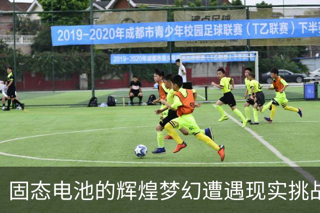 固态电池的辉煌梦幻遭遇现实挑战，2026年或将引发电池市场转变